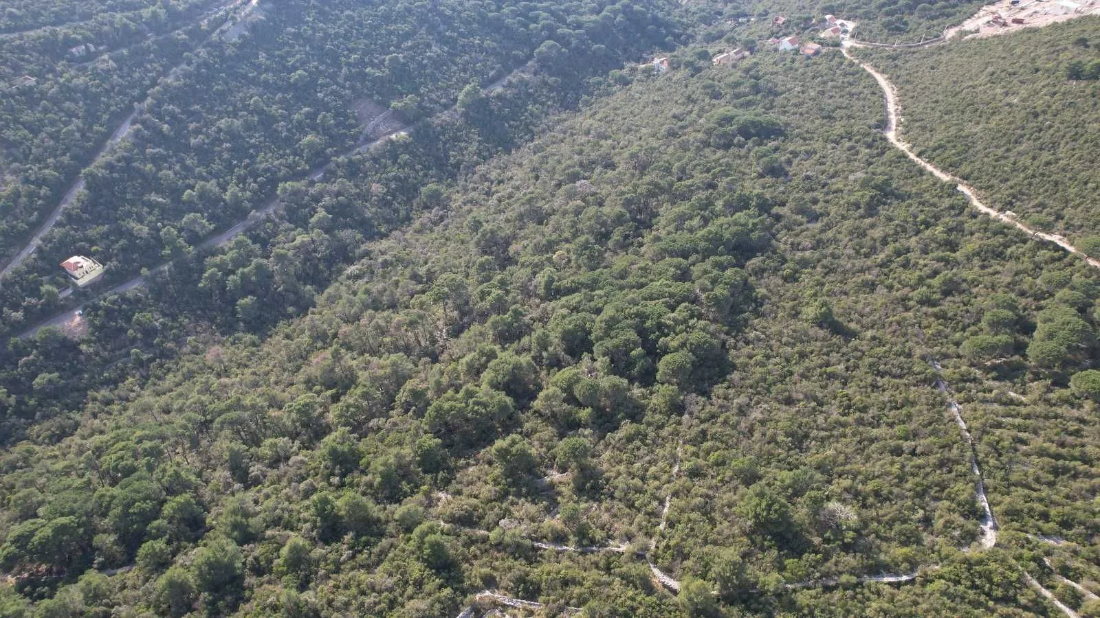 Prodaja, plac, 6500m², Luštica, Tivat