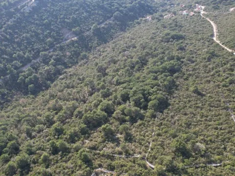 Prodaja, plac, 6500m², Luštica, Herceg Novi - image 14