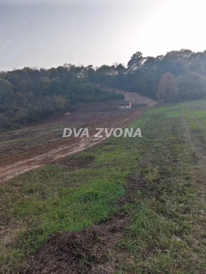 Prodaja, plac, 6000m², Čortanovci, Inđija