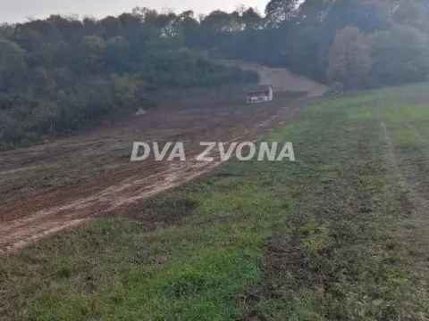 Sale, land lot, 6000m², Čortanovci, Inđija - image 7