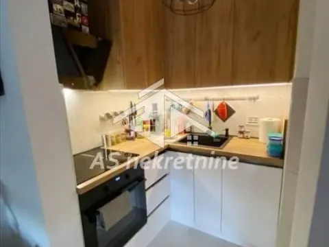 Izdavanje, dvosoban stan, 41m², Savski Venac, Beograd - image 5