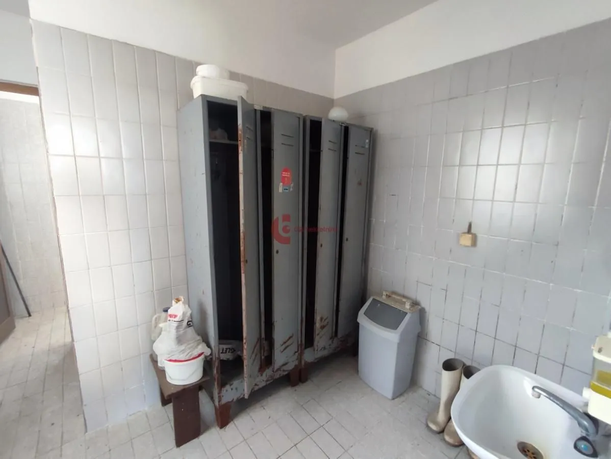 Prodaja, poslovni prostor, 404m², Đurđin, Subotica