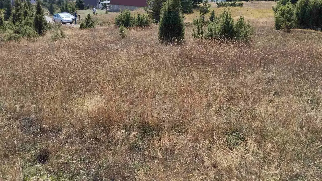 Sale, land lot, 790m², Žabljak, Crna Gora