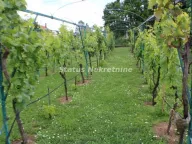 Prodaja, kuća, 160m², Beočin, Srbija - image 14