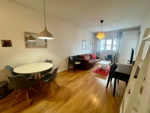 Sale, one bedroom apartment, 46m², Central Point, Podgorica - image 2