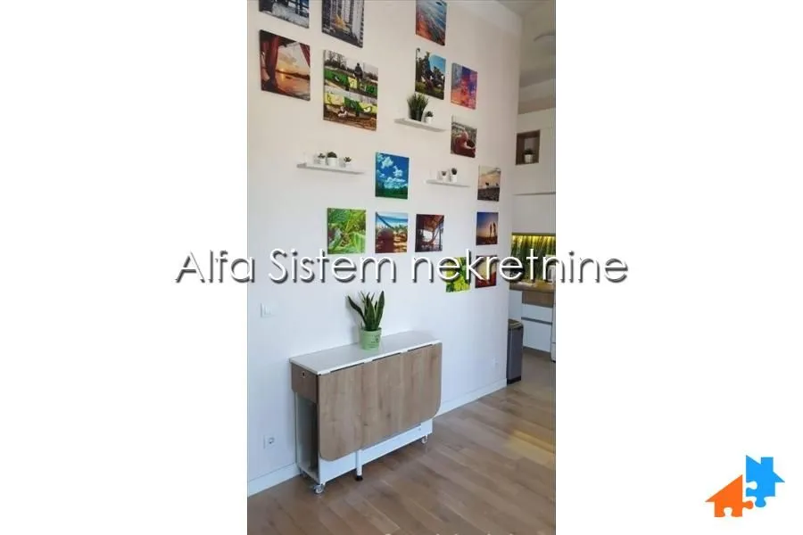 Rent, two bedroom apartment, 49m², Višnjička Banja, Palilula Sve Podlokacije