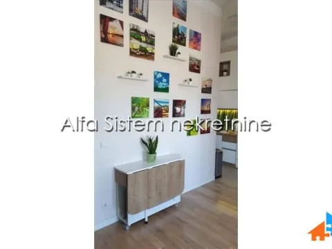 Rent, two bedroom apartment, 49m², Višnjička Banja, Palilula Sve Podlokacije - image 3