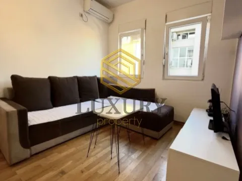 Rent, one bedroom apartment, 380m², Zabjelo, Podgorica - image 8