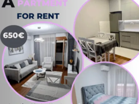 Izdavanje, jednosoban stan, 50m², City Kvart, Podgorica - image 1