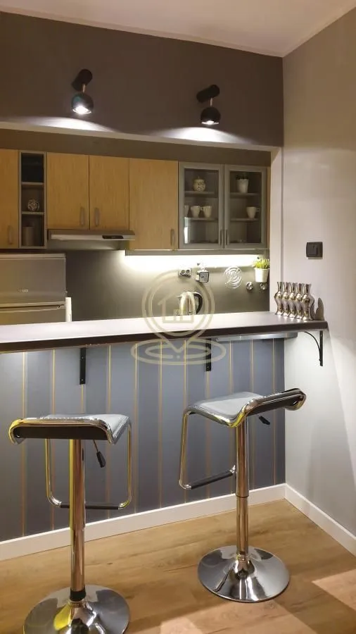 Izdavanje, dvosoban stan, 34m², Bul Kralja Aleksandra, Zvezdara Sve Podlokacije