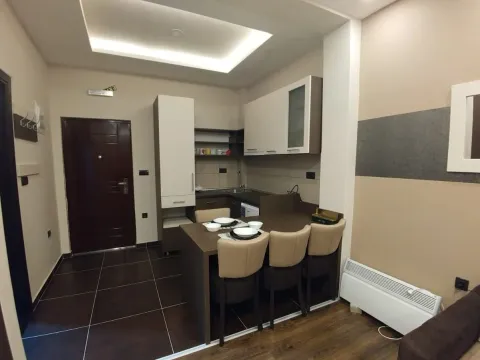 Sale, studio apartment, 30m², Treska, Kopaonik - image 3