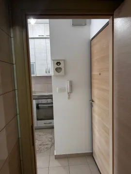 Rent, one bedroom apartment, 59m², Central Point, Podgorica - image 724
