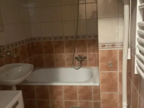 Izdavanje, garsonjera, 25m², Nova Detelinara, Novi Sad Sve Podlokacije - image 9