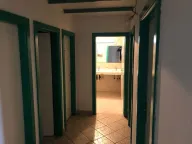 Izdavanje, poslovni prostor, 1000m², Zemun Sve Podlokacije, Beograd - image 3