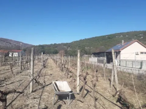 Prodaja, plac, 1546m², Podgorica, Crna Gora - image 1