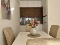 Izdavanje, jednosoban stan, 42m², Zabjelo, Podgorica - image 2