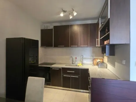 Izdavanje, jednosoban stan, 55m², Preko Morače, Podgorica - image 9