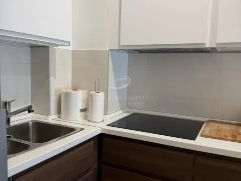 Rent, two bedroom apartment, 54m², Palilula Sve Podlokacije, Beograd - image 5