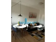 Izdavanje, stan, 33m², Zemun Centar, Zemun Sve Podlokacije - image 1