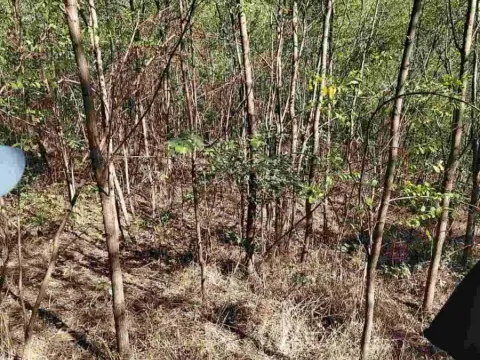 Sale, land lot, 5100m², Krupanj, Srbija - image 4