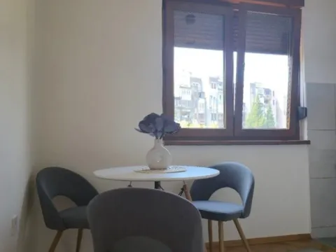 Izdavanje, garsonjera, 28m², Nova Dalmatinska, Podgorica - image 5