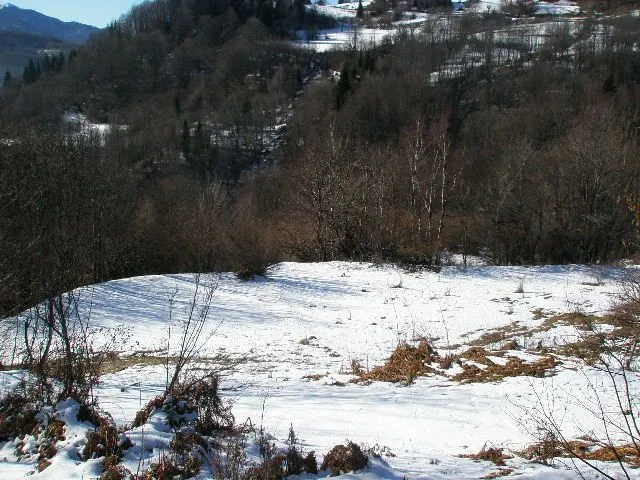 Prodaja, plac, 100000m², Kolašin, Crna Gora