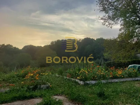 Pogled na zeleno dvorište i baštu sa cvećem i drvećem. - image 3