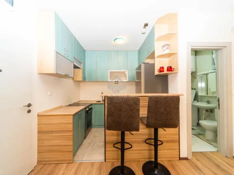 Izdavanje, stan, 28m², Krivi Most, Podgorica - image 4