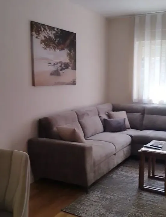 Rent, one bedroom apartment, 50m², Central Point, Podgorica