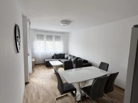 Izdavanje, jednosoban stan, 43m², Adice, Novi Sad Sve Podlokacije - image 5