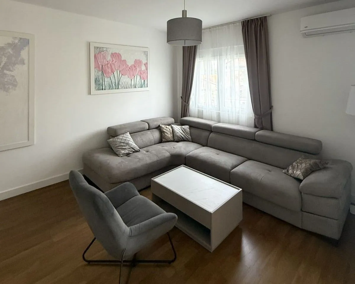 Rent, one bedroom apartment, 47m², Zagorič, Podgorica