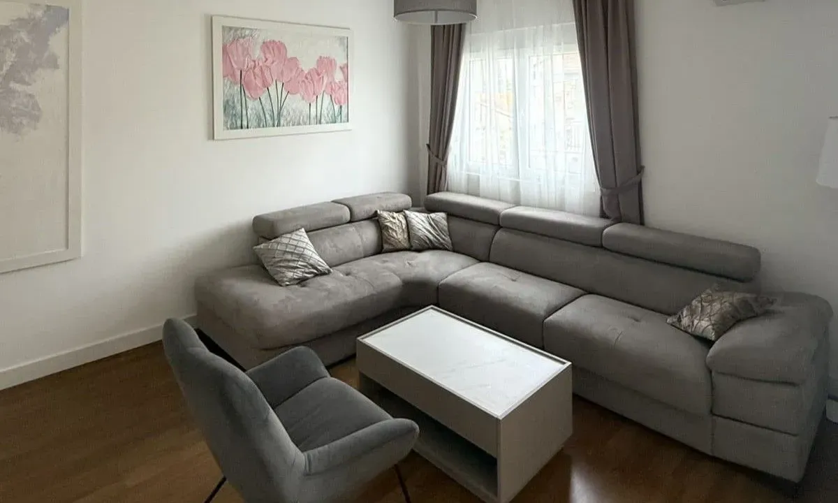 Rent, one bedroom apartment, 47m², Zagorič, Podgorica