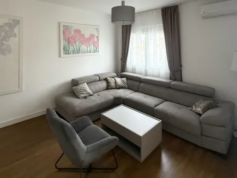 Rent, one bedroom apartment, 47m², Zagorič, Podgorica - image 1