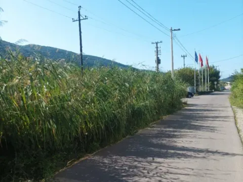 Prodaja, zemljište, 4340m2, Lastva Grbaljska, Kotor Prodaja, zemljište, 4340m2, Lastva Grbaljska, Kotor