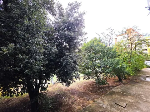 Yard with trees and a pathway next to an apartment building. - image 12