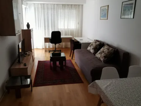Rent, one bedroom apartment, 45m², Pobrežje, Podgorica - image 1