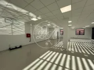 Izdavanje, poslovni prostor, 228m², Altina, Beograd - image 2