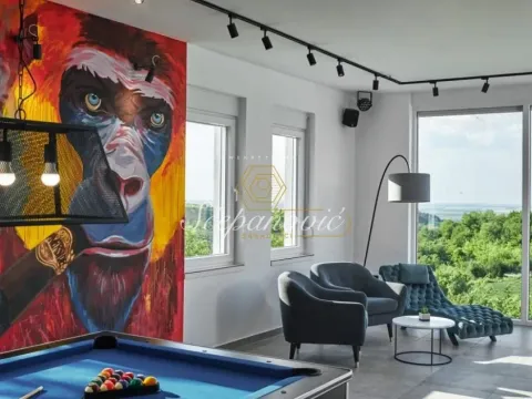 Rent, house, 295m², Sremski Karlovci, Novi Sad - image 6