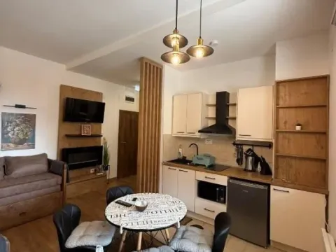 Prodaja, ugostiteljski objekat, 482m², Treska, Kopaonik - image 5