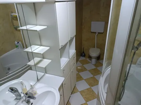 Rent, two bedroom apartment, 47m², Grbavica, Novi Sad Sve Podlokacije - image 8