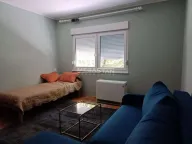 Izdavanje, dvosoban stan, 60m², Botanička Bašta, Palilula Sve Podlokacije - image 3