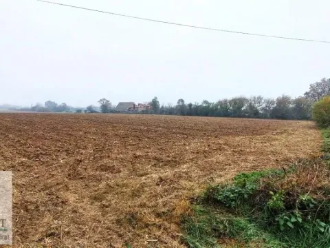 Prodaja, plac, 300m², Obrenovac, Beograd - image 4