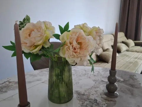 Izdavanje, jednosoban stan, 45m², Stari Aerodrom, Podgorica - image 5