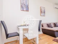 Izdavanje, jednosoban stan, 40m², Central Point, Podgorica - image 4