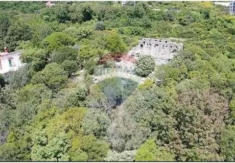 Prodaja, plac, 2000m², Mišići, Bar - image 6