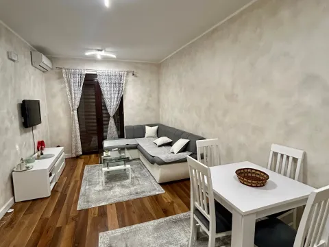 Izdavanje, jednosoban stan, 47m², Zabjelo, Podgorica - image 4