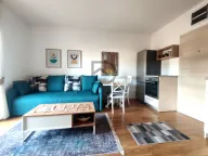 Izdavanje, stan, 35m², Centar, Podgorica - image 1