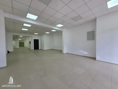 Izdavanje, poslovni prostor, 310m², Dušanovac, Voždovac Sve Podlokacije - image 3