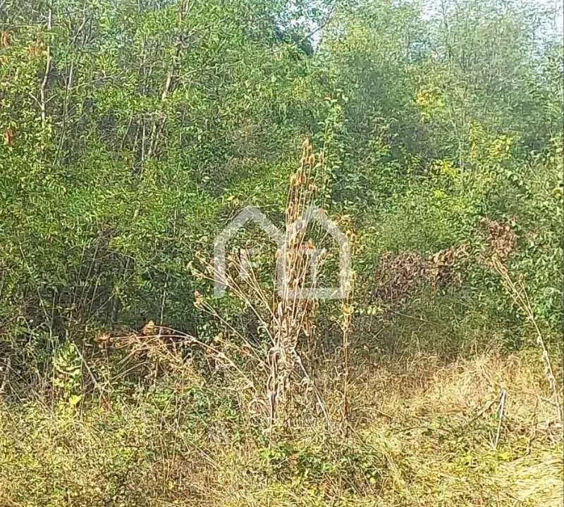 Sale, land lot, 1900m², Sremčica, Beograd