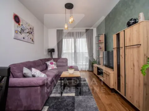 Izdavanje, jednosoban stan, 50m², Tološka šuma, Podgorica - image 2